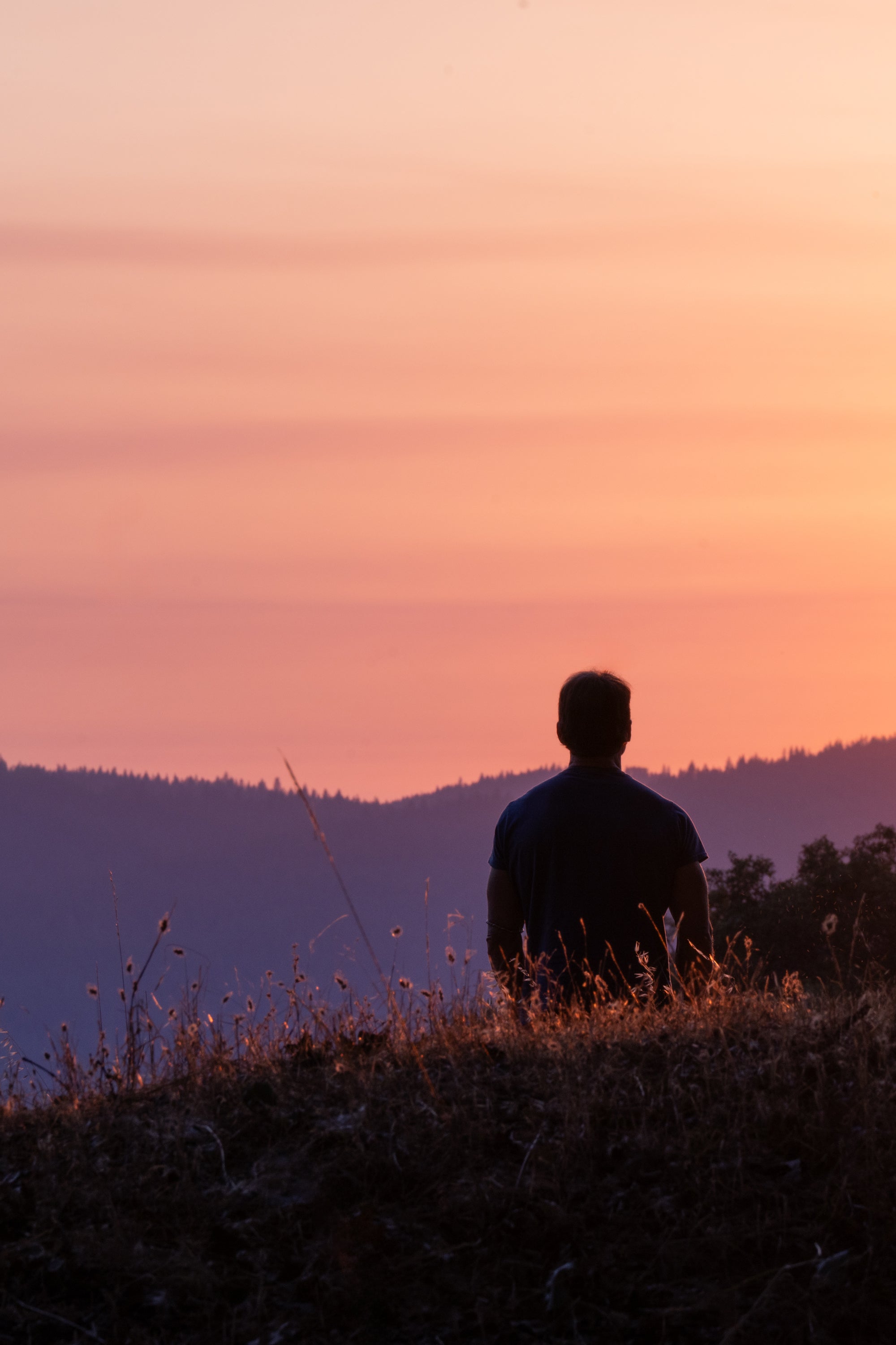 Don’t Die So You Can Realize You Are Deathless