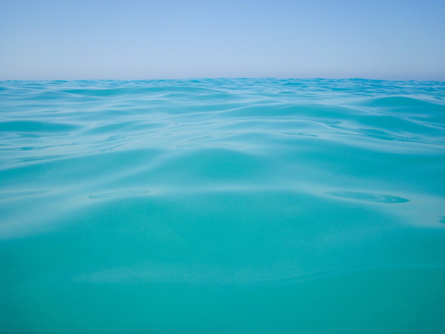 “Just a Bulge of the Ocean”