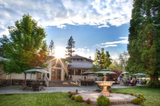 Expanding Light Meditation