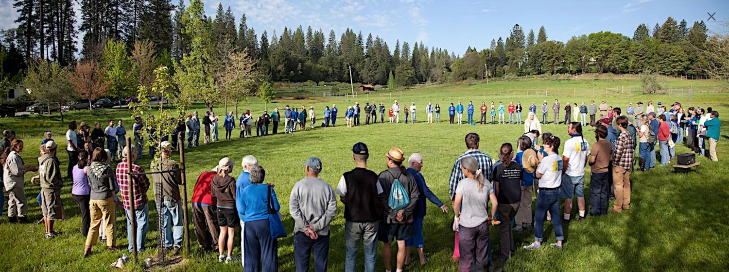 Where the Rubber Meets the Road