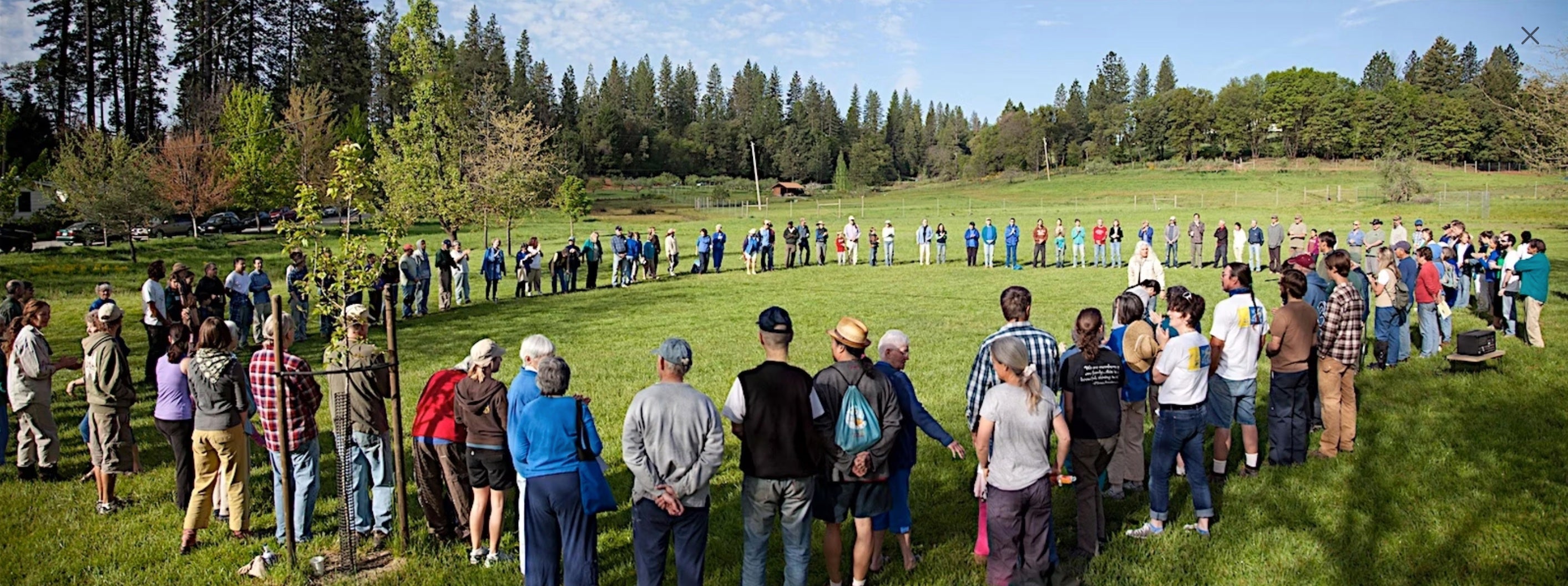 Where the Rubber Meets the Road