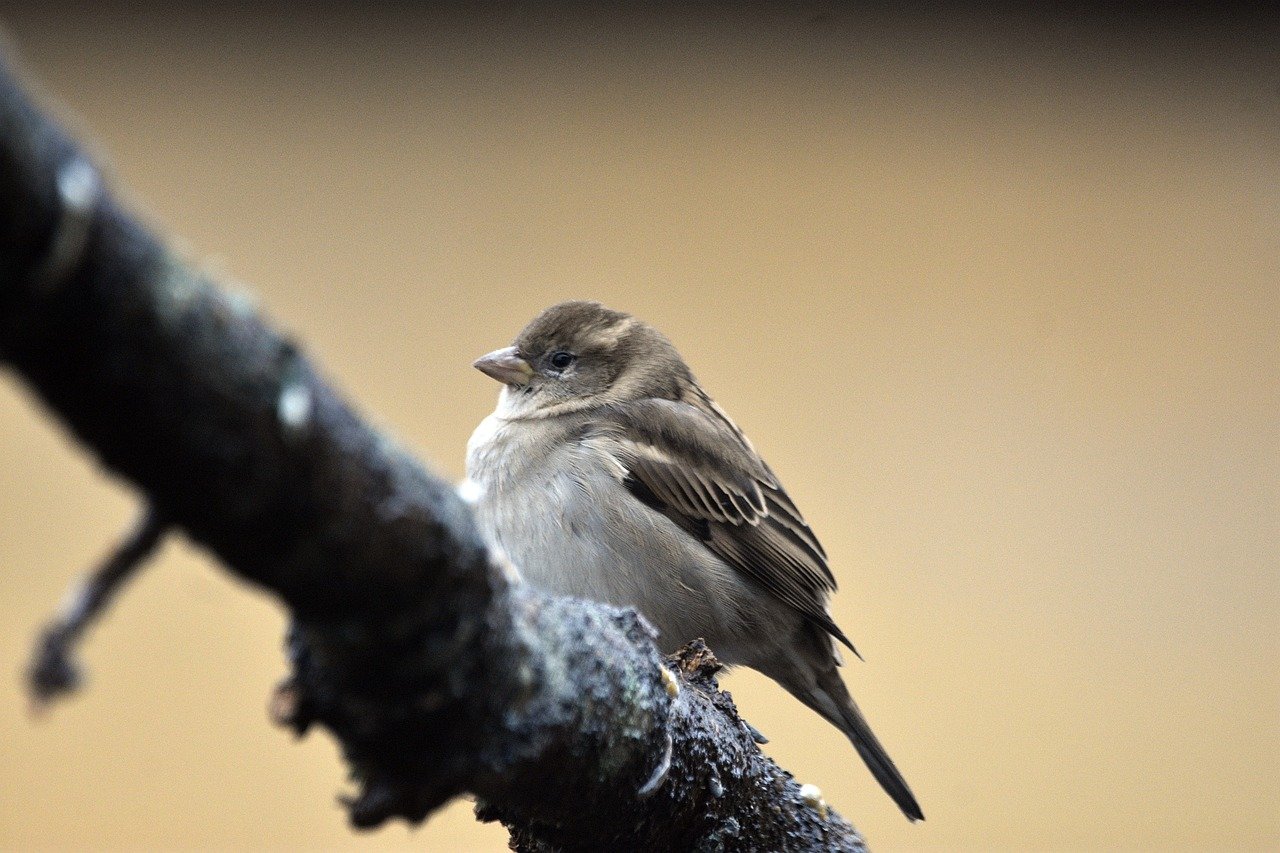 Everything Needs a Little Love