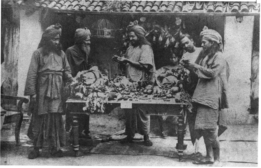 Yogananda Buying Herbs Canvas