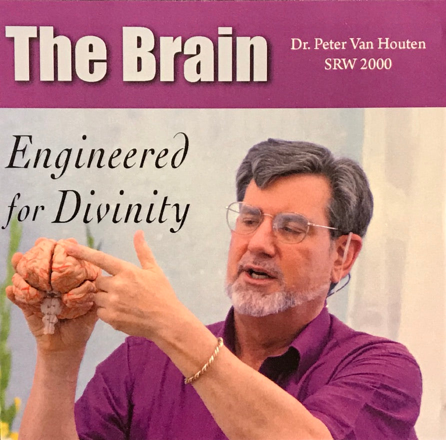 The Brain - MP4 Download