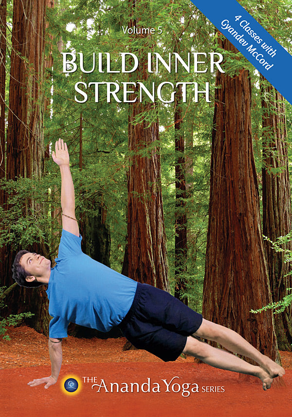 Build Inner Strength  Vol 5  DVD