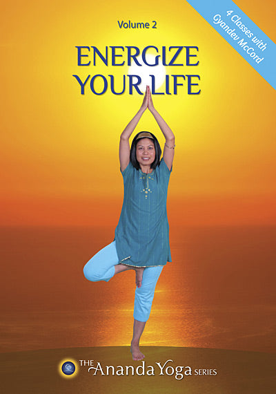Energize Your Life  Vol 2  DVD